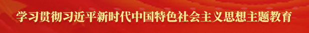 学习贯彻习近平新时代中国特色社会主义思想主题教育